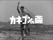 「カネゴンの繭」