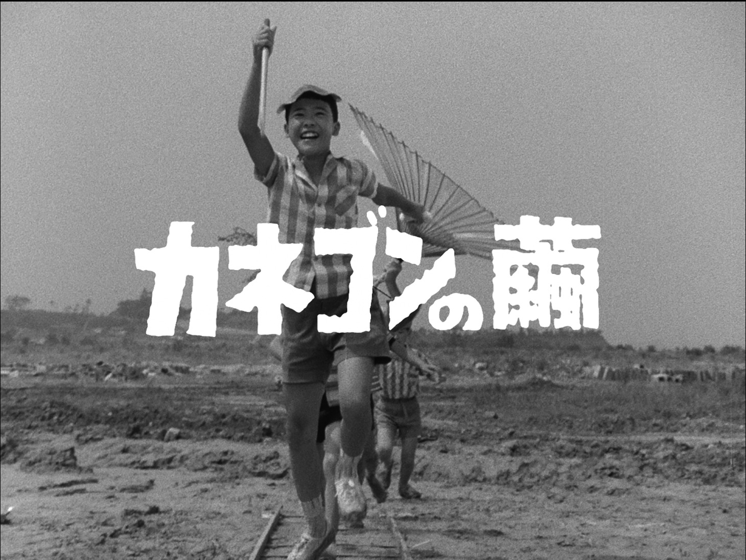 「カネゴンの繭」