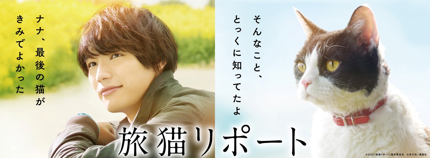 「旅猫リポート」ビジュアル