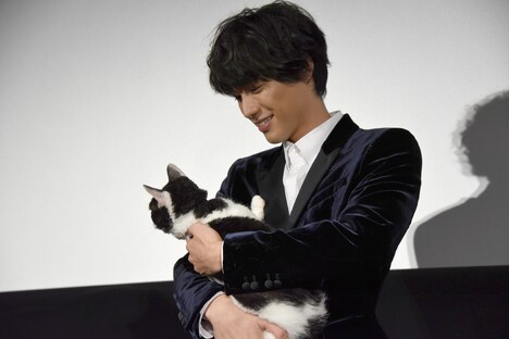 ナナを抱く福士蒼汰。