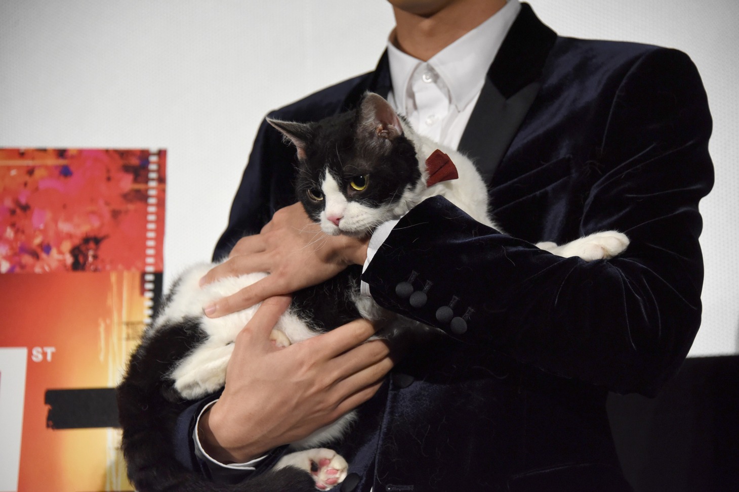福士蒼汰に抱かれたナナ。