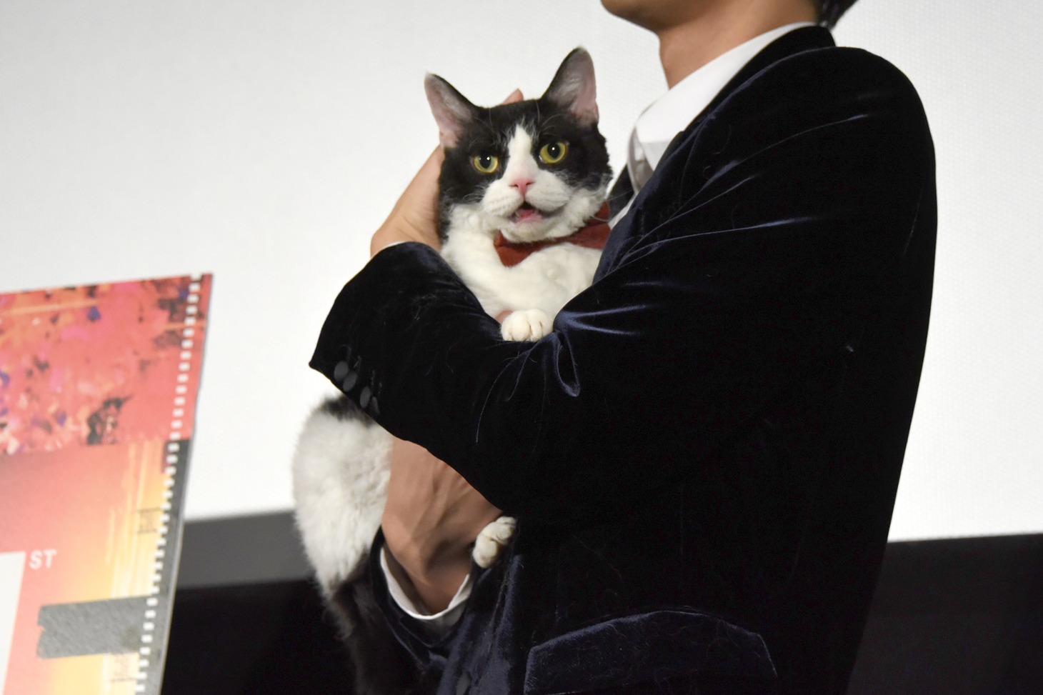映画祭に出席するため、いつもの赤い首輪ではなく蝶ネクタイを着けてきたナナ。