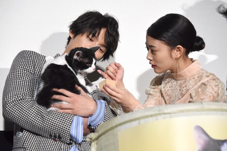 福士蒼汰（左）が抱くナナに猫用ミルクを飲ませようとする高畑充希（右）。