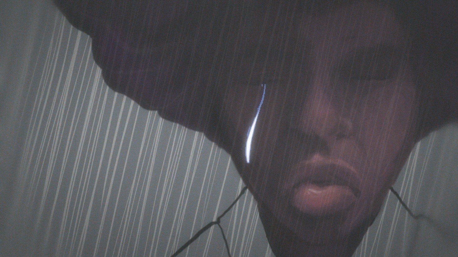 「あまりにも単純化しすぎた彼女の美」