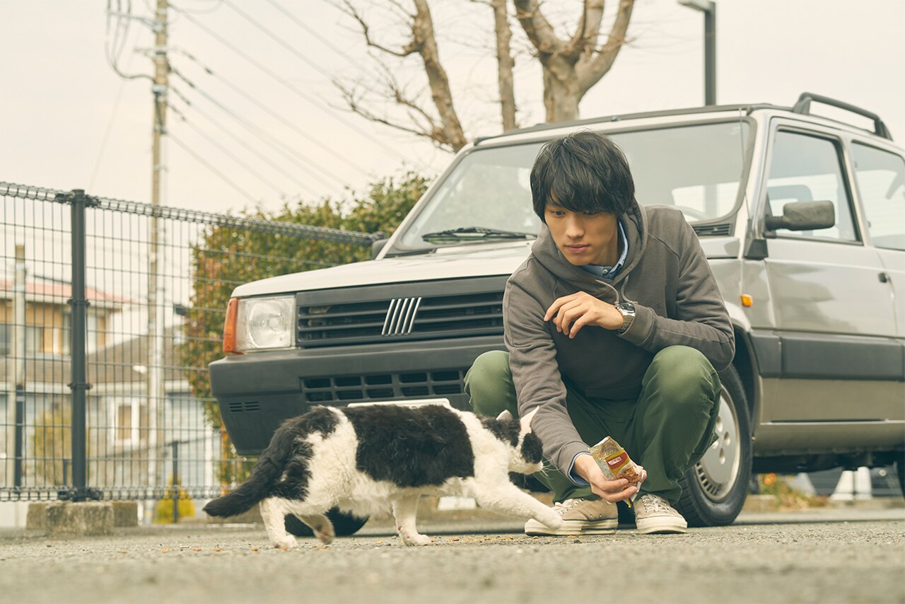 「旅猫リポート」ナナの“誇り高き野良猫”時代とは？福士蒼汰との出会いを回想