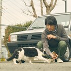 「旅猫リポート」ナナの“誇り高き野良猫”時代とは?福士蒼汰との出会いを回想