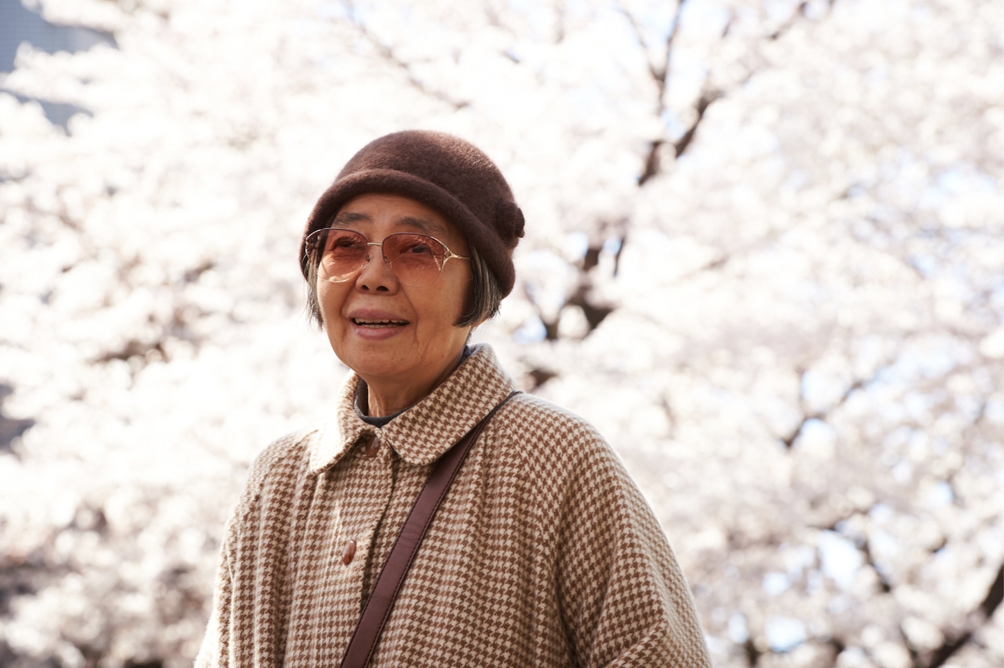 「あん」 (c)2015 映画『あん』製作委員会/COMME DES CINEMAS/TWENTY TWENTY VISION/ZDF-ARTE