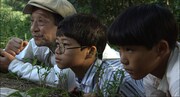 「天空に夢輝き~手塚治虫の夏休み~」 (c)NHK