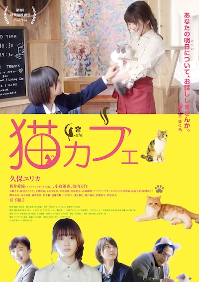 「猫カフェ」メインビジュアル