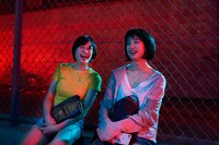 「チワワちゃん」