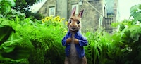 「ピーターラビット」 (c)2018 Columbia Pictures Industries, Inc., 2.0 Entertainment Financing, LLC and MRC II Distribution Company L.P. All Rights Reserved. | PETER RABBIT and all associated characters ™ & (c) Frederick Warne & Co Limited.