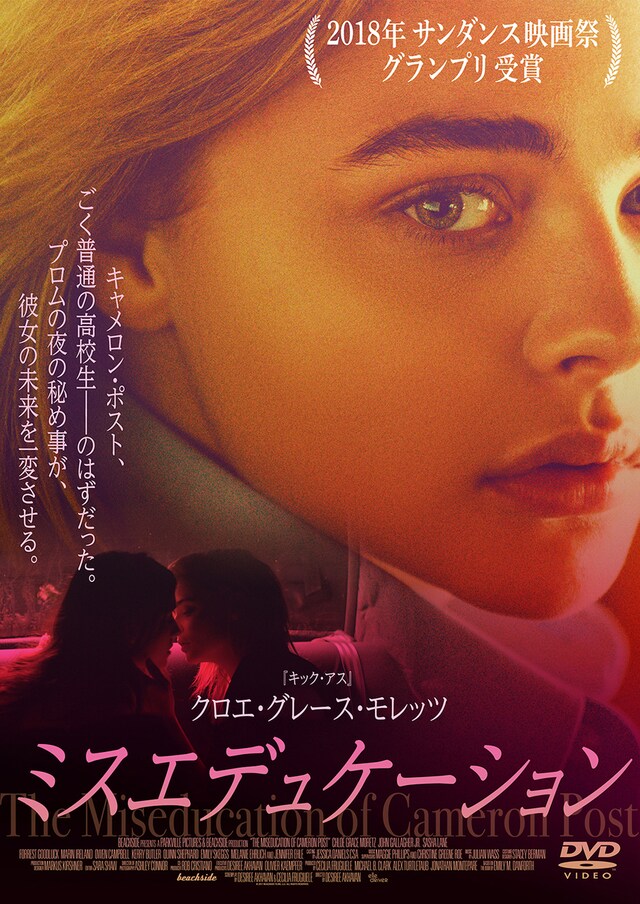 「ミスエデュケーション」DVDジャケット