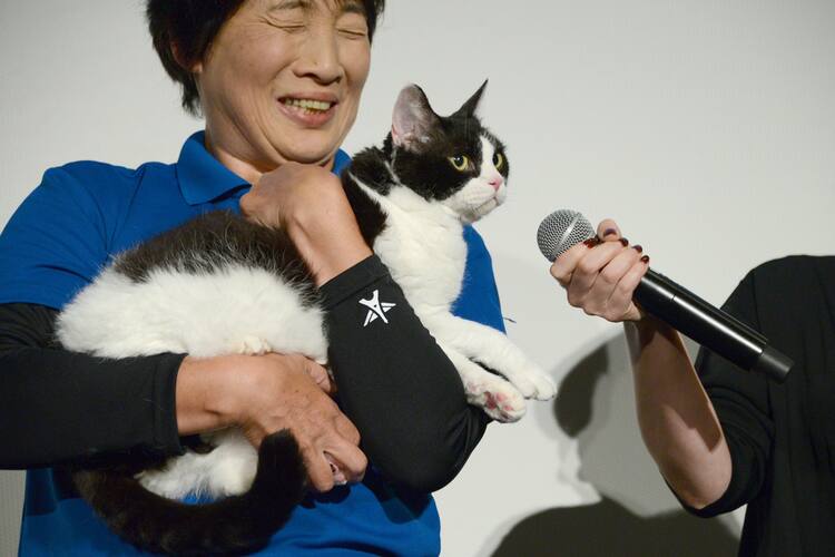 旅猫リポート」ナナがスター猫に仲間入り！「猫侍」のあなごら先輩猫が 