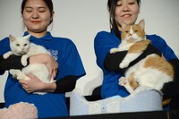 左からあなご、春馬。