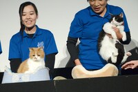 春馬（左）と、手形を取り終えて猫ベッドに戻るナナ（右）。