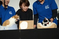 ナナ（右）を威嚇する春馬（左）。