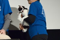 ステージから飛び降りて客席を練り歩くも、連れ戻されるナナ。