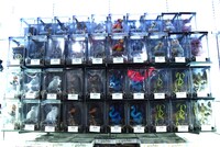 「ウィザーディング・ワールド・マーケット」で販売されるアイテム。