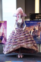 シュガー・プラムのコスチューム。