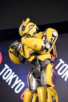 玄田哲章に「お前、しゃべれるの!?」と言われて慌てるバンブルビー。