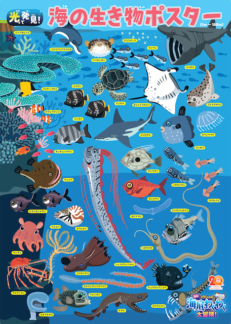 来場特典の「光って発見!海の生き物ポスター」。
