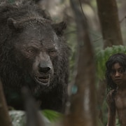 カンバーバッチが虎に、アンディ・サーキス監督「モーグリ: ジャングルの伝説」配信