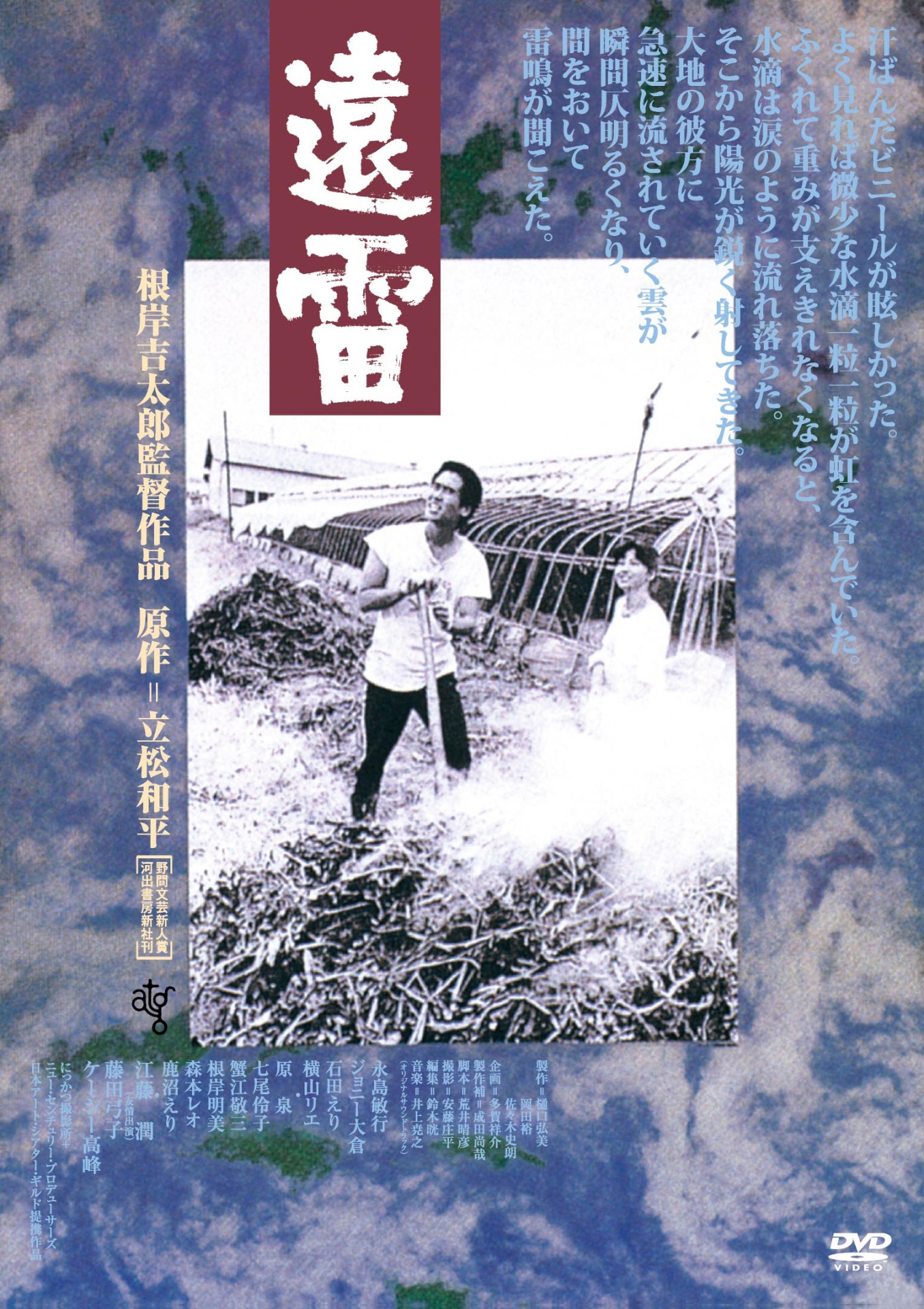 「遠雷（1981年）」DVDジャケット