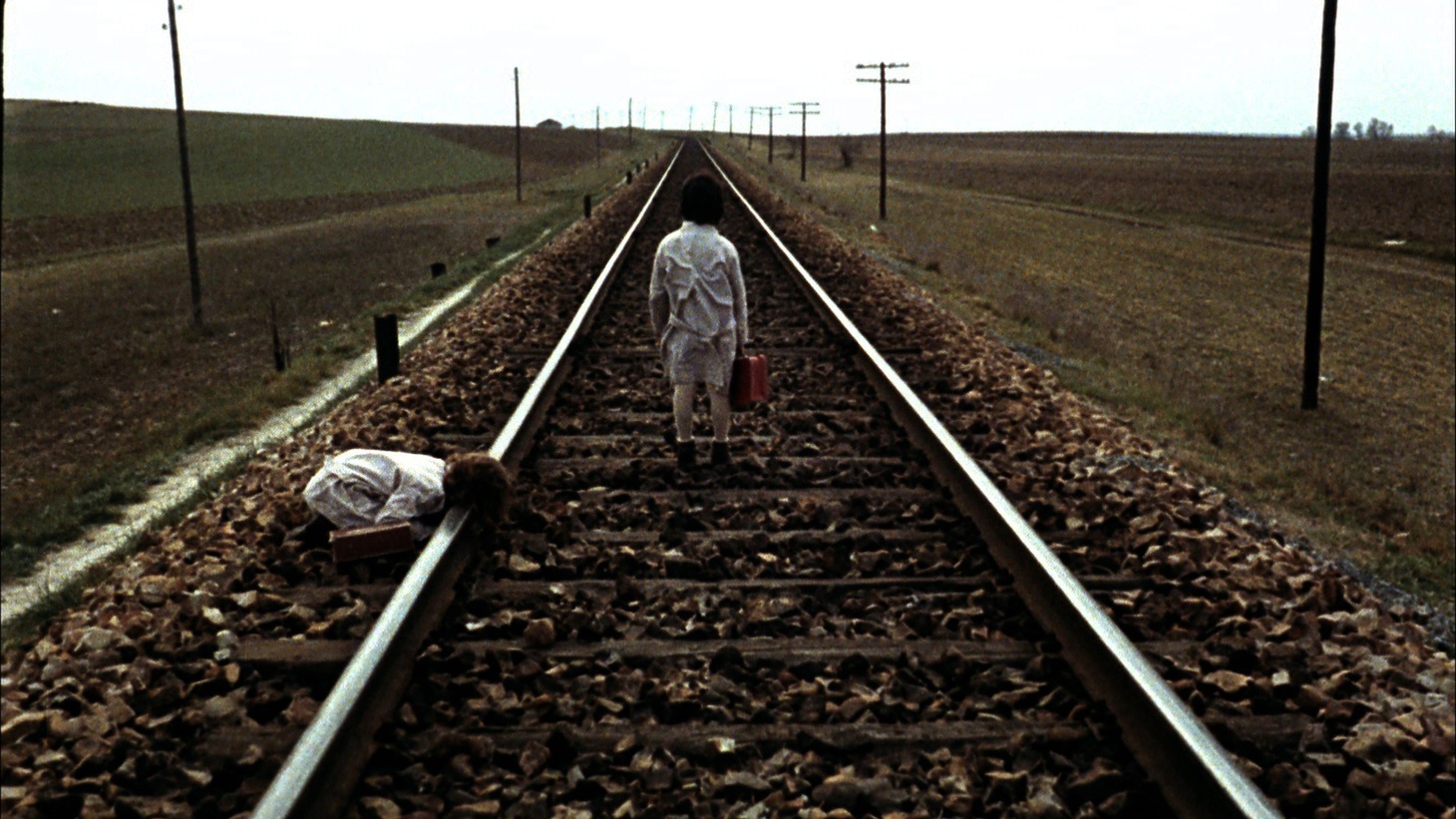 「ミツバチのささやき」 (c)2005 Video Mercury Films S.A.