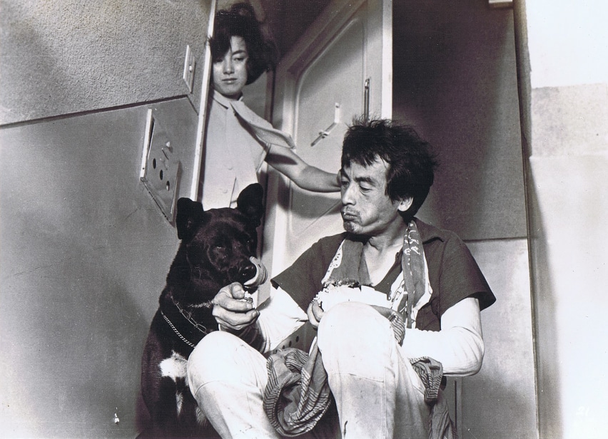 「彼女と彼（1963年）」