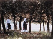 「オリーブの林をぬけて」 (c)1994 Ciby 2000 - Abbas Kiarostami