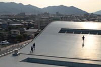 「ワイルドツアー」