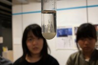 「ワイルドツアー」