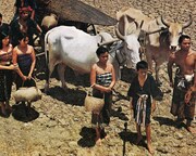 「東北タイの子」 (c)Five Star Production Co., Ltd.