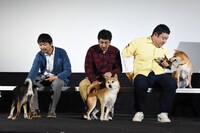 左から、それぞれのパートナー犬とじゃれる大西信満、渋川清彦、ドロンズ石本。