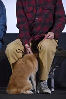 渋川清彦の脚の間に入りたがるあたる。