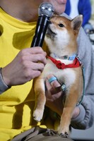 マイクに興味津々な一郎。