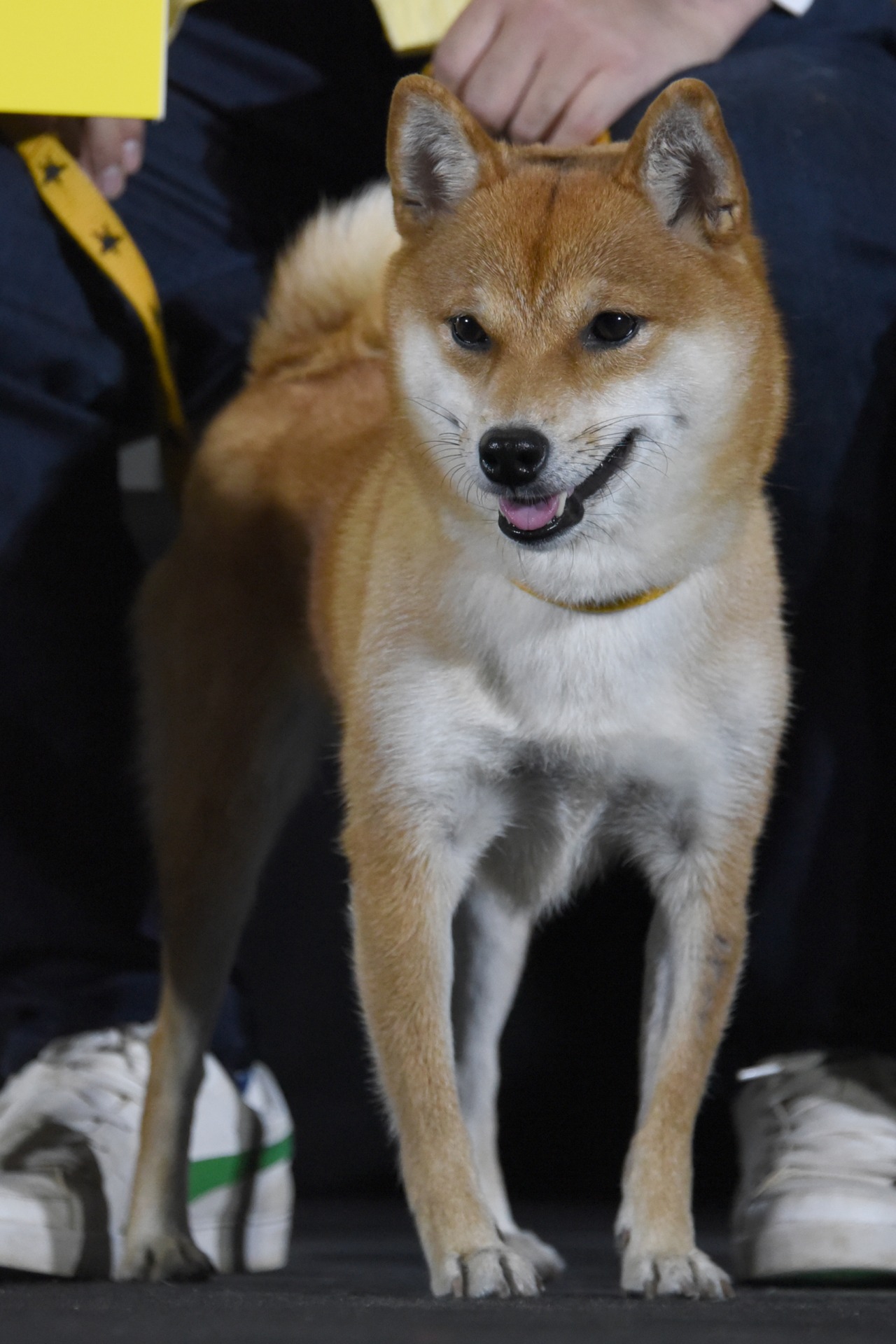 さちこ