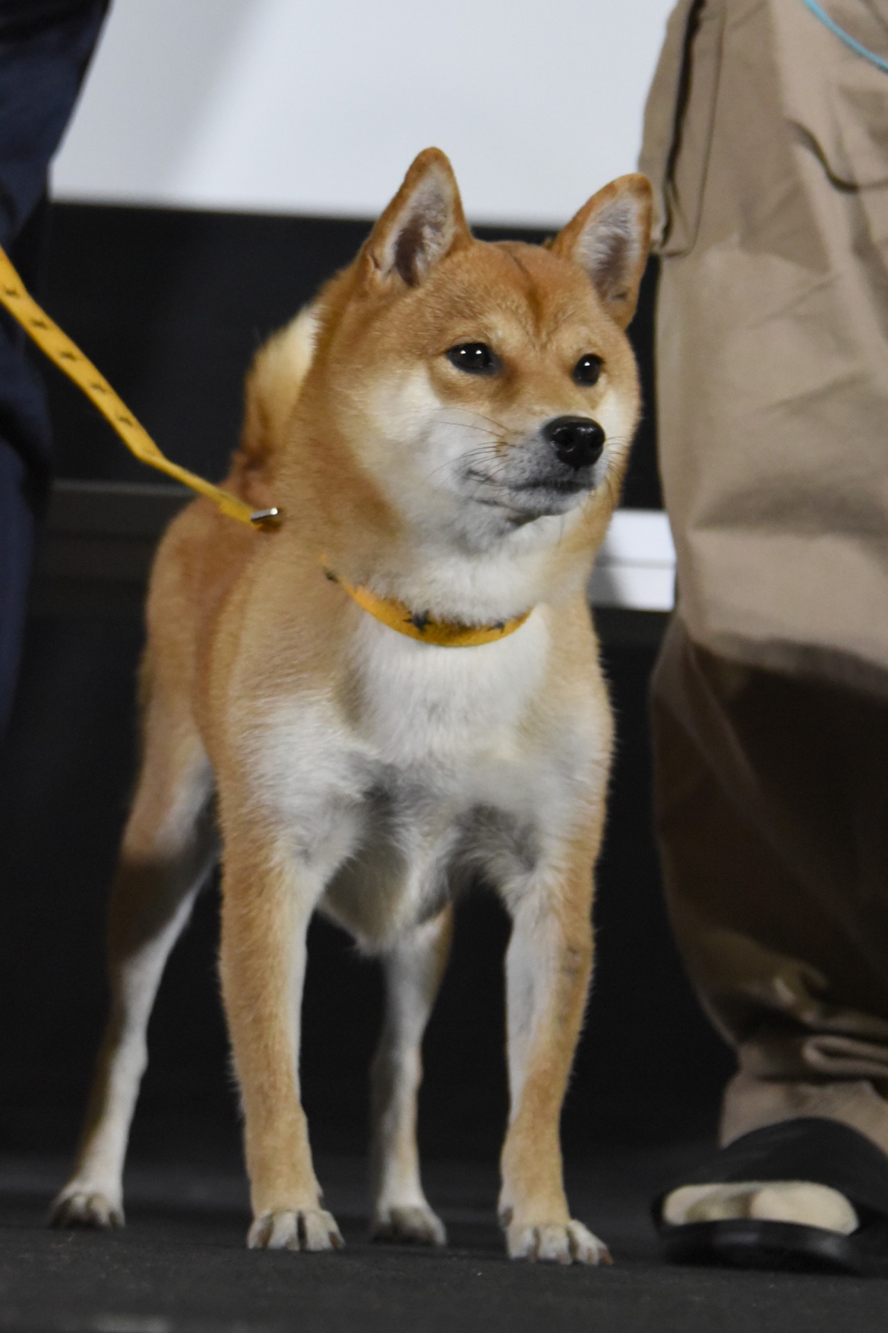 さちこ