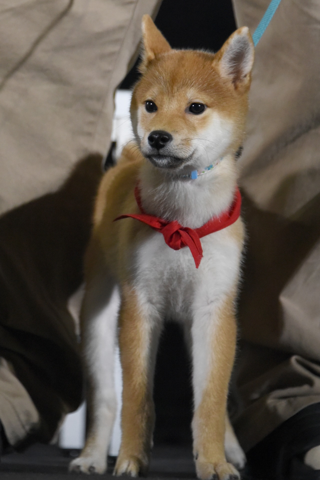 一郎