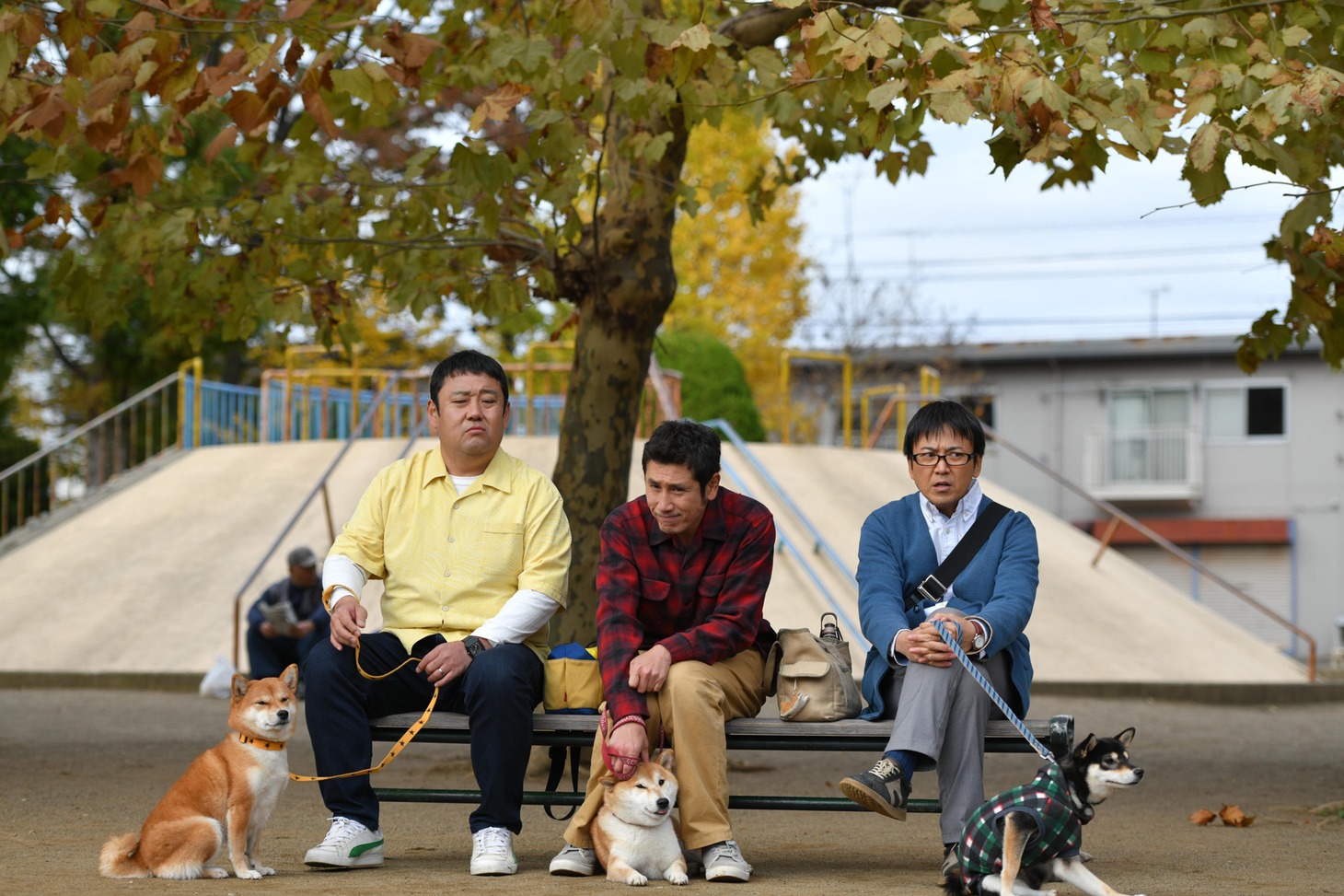 ドラマ「柴公園」第1話