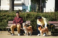 ドラマ「柴公園」第1話