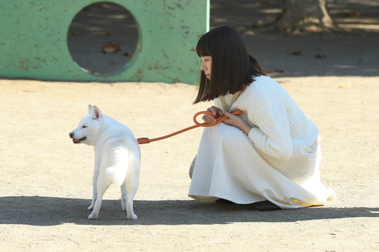 ドラマ「柴公園」第1話