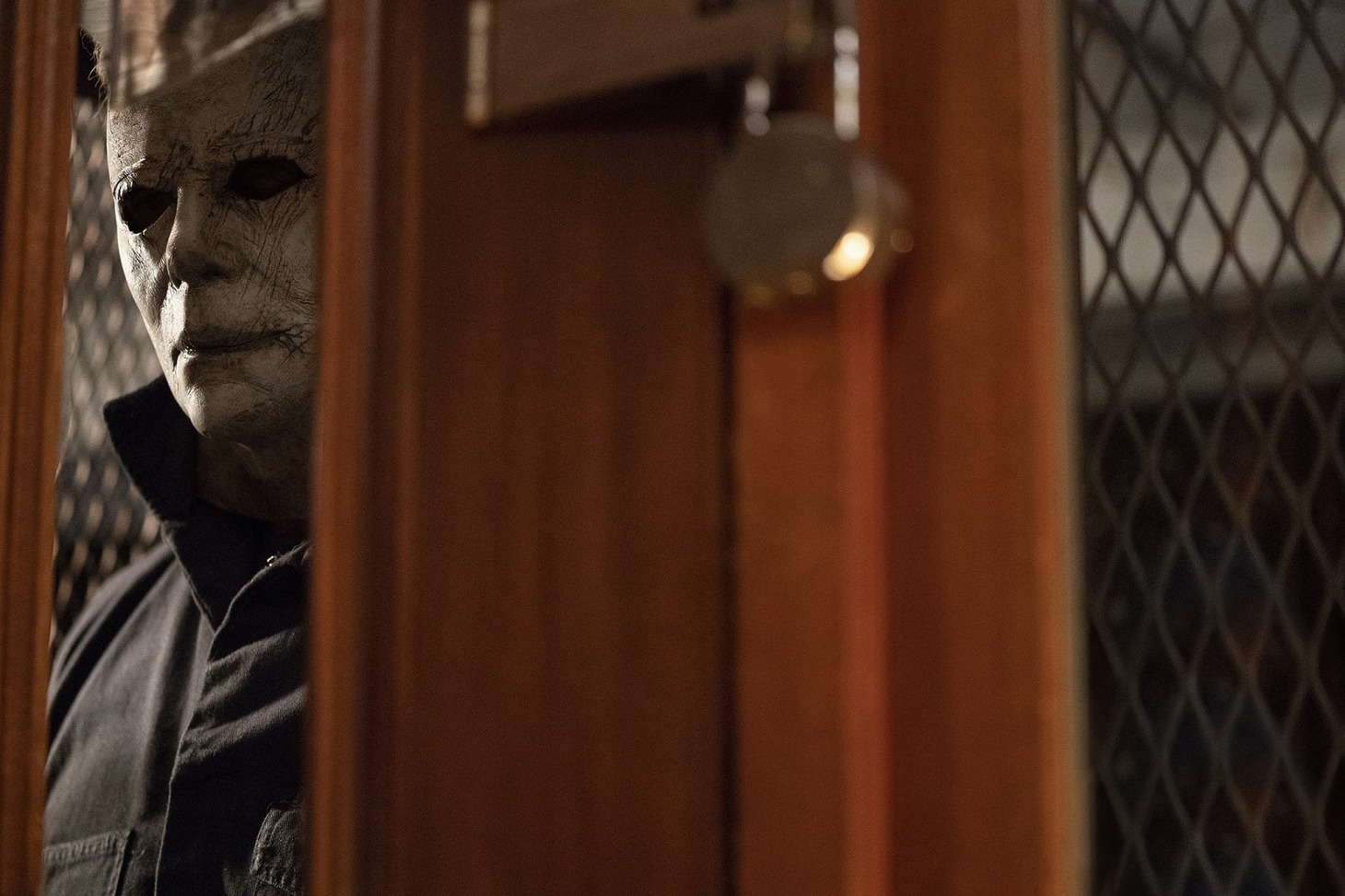 「ハロウィン」 (c)Anything labeled AA68_D is: Ryan Green/Universal Pictures