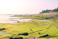 「ねことじいちゃん」