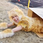 猫姿の北山宏光がニッコリ「トラさん」新場面写真、監督によるデザイン画も公開