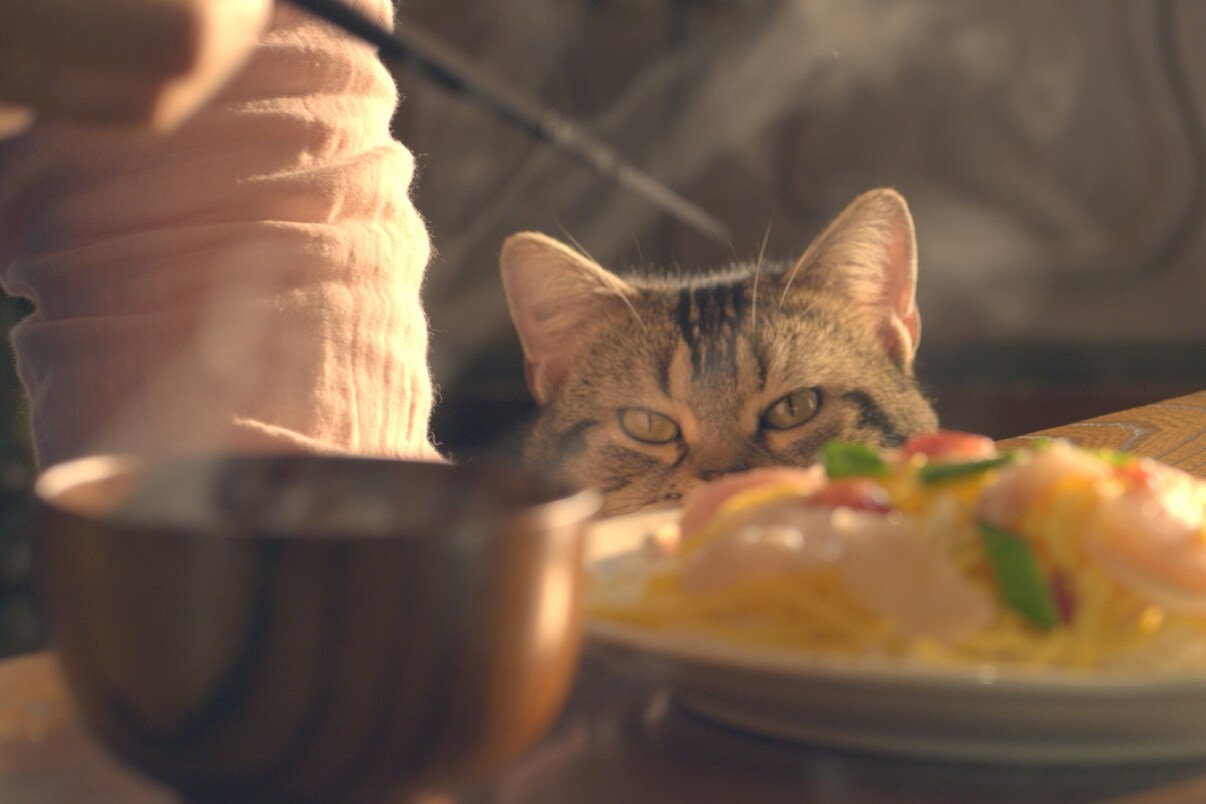 「ねことじいちゃん」新場面写真