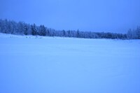 オーロラシーンを撮影したレヴィの雪原。