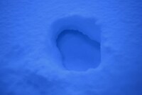 “ラップランドブルー”と呼ばれる、影が青く見える現象。