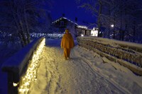 エルフの隠れ家内の景色。