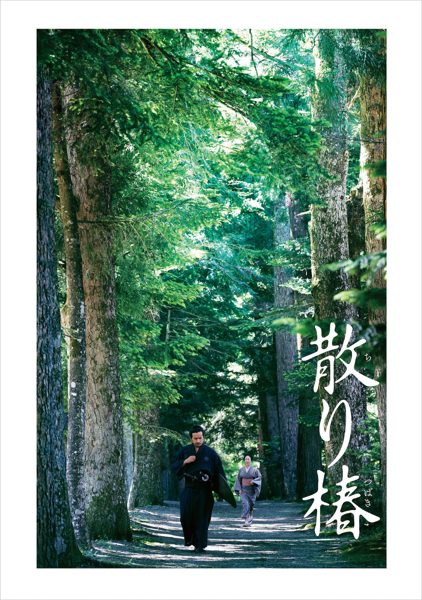 「散り椿」Blu-ray / DVDジャケット (c)2018 「散り椿」製作委員会　